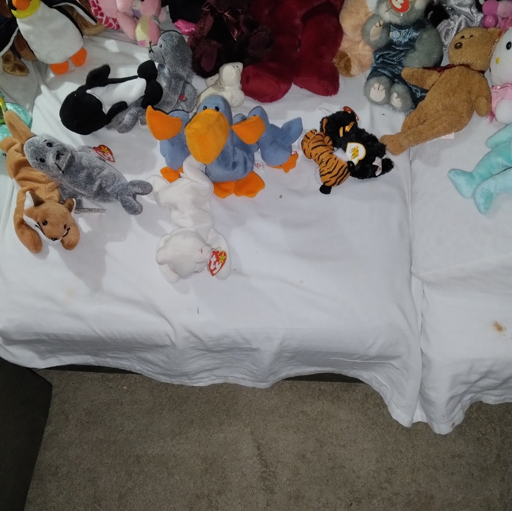 Decluttering - Picture 2 of 4